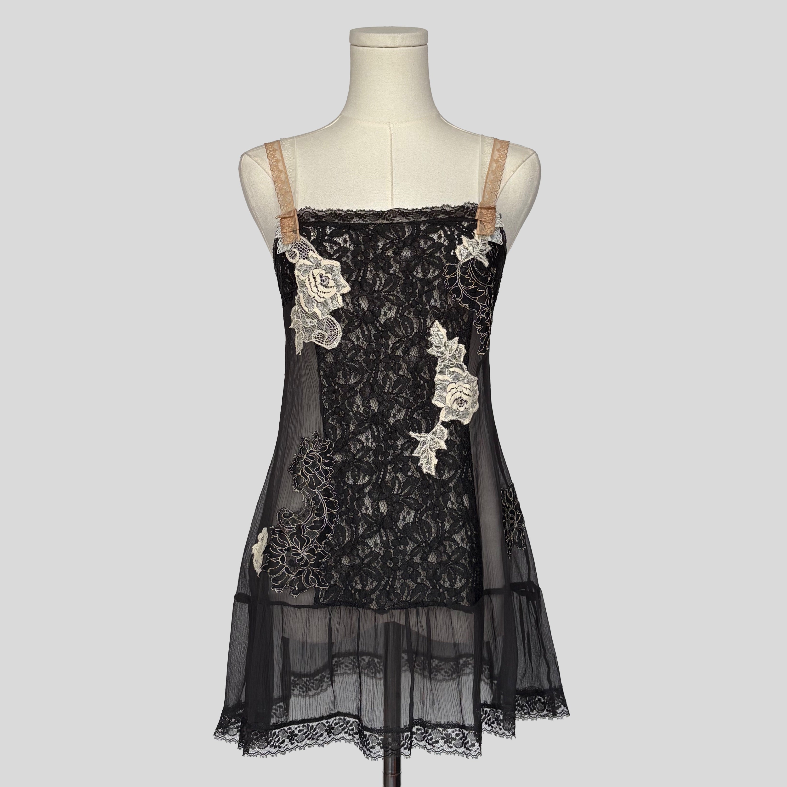 Delicate sheer lace slip